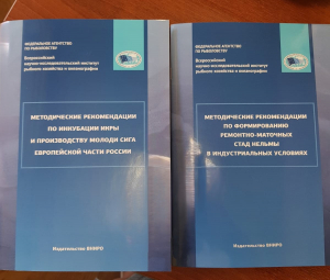 Методические рекомендации, разработанные сотрудниками Санкт-Петербургского филиала, представлены на VII Международном рыбопромышленном форуме